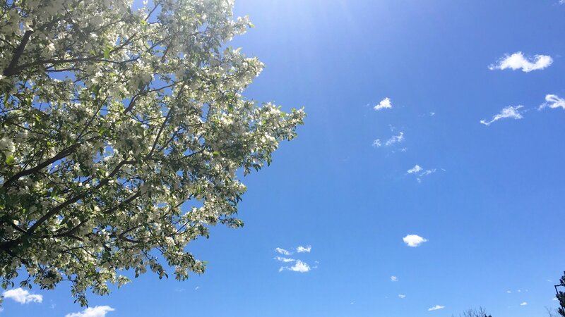 Beauty all around us