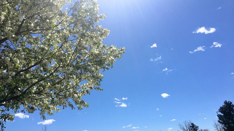 Beauty all around us