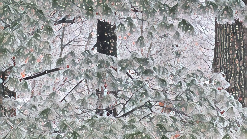 Snowy Trees