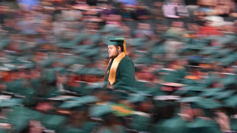 In a Sea of Green