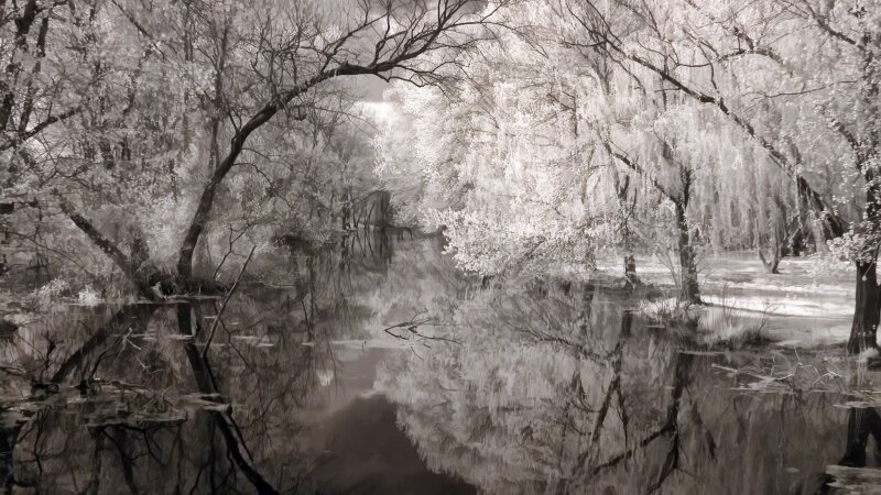 The creek on Paulsboro-Swedesboro Road