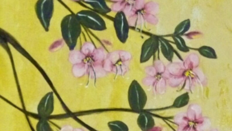 Japanese Cherry Blossum