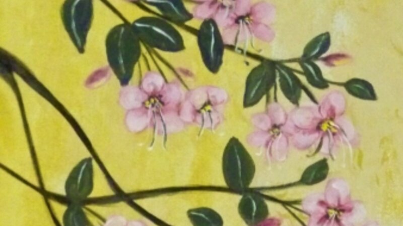 Japanese Cherry Blossum