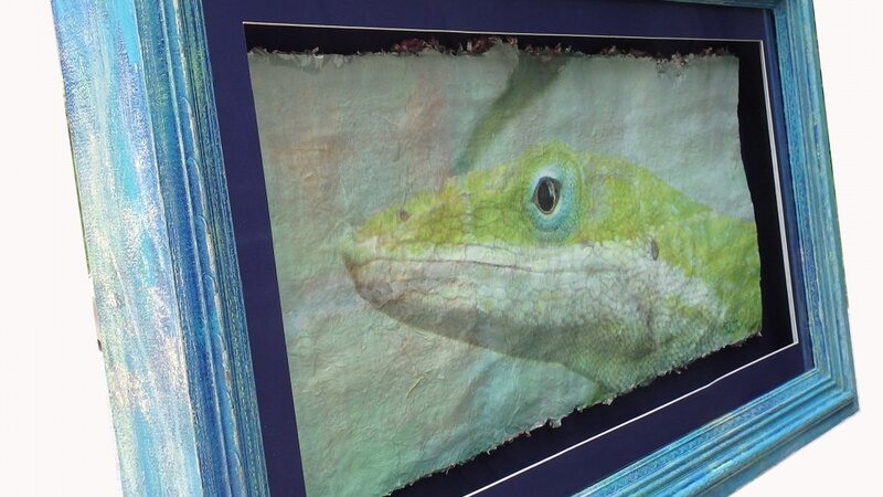 Florida Native / Green Anole