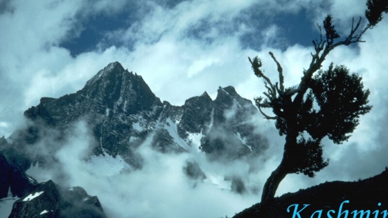 Mt. Kolohoi, Kashmir, India