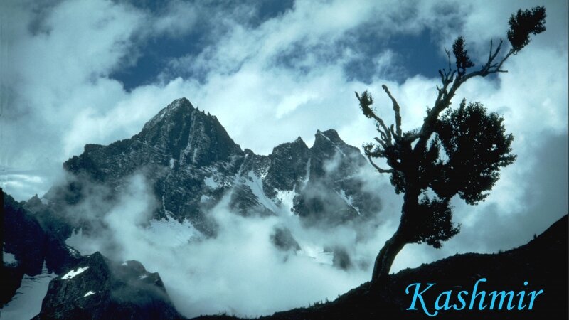 Mt. Kolohoi, Kashmir, India