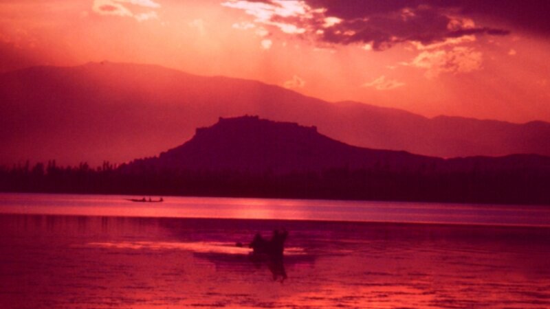 Dal Lake,  Srinigar, Kashmir