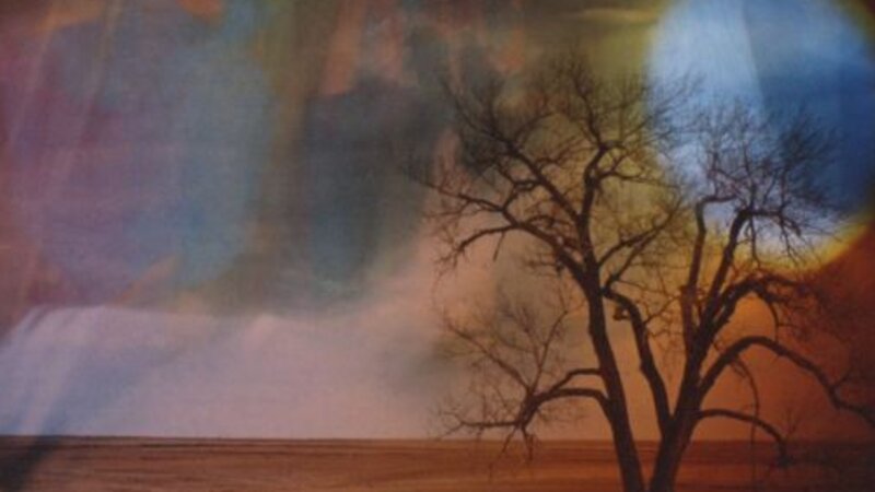 slide sandwich, sun over tree