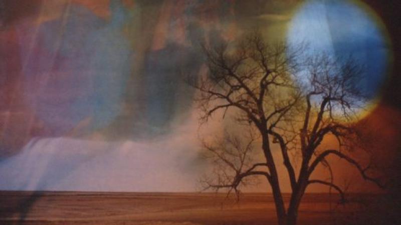 slide sandwich, sun over tree