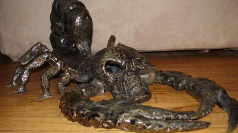 Skull-headed Scorpion