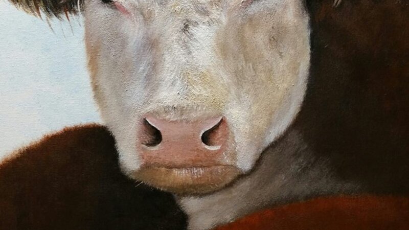 Bull