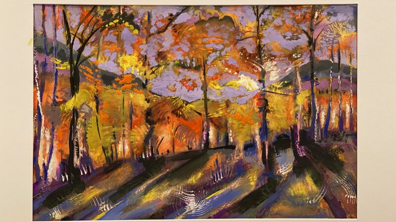 Whimsical Woods