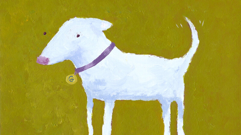 white dog on green background