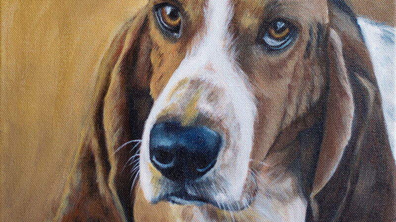 Face it, My Ears are My Best Feature