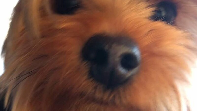 Good Morning Franklin!