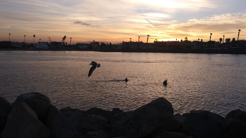 Monday Monday CI Harbor 