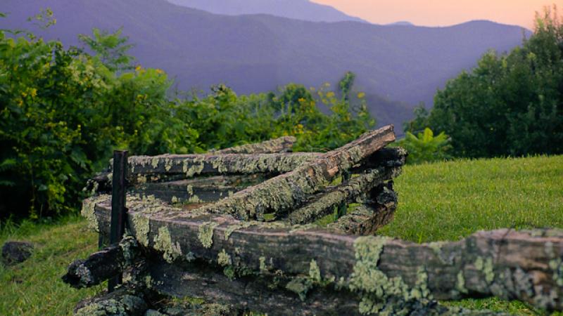 The Split Rail Fence