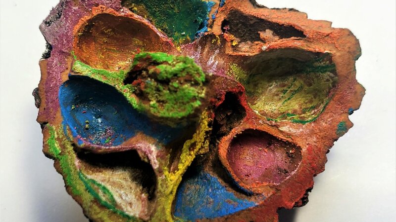 Half shell walnut, painted with prismacolor pencils, acrylics and intense pencils