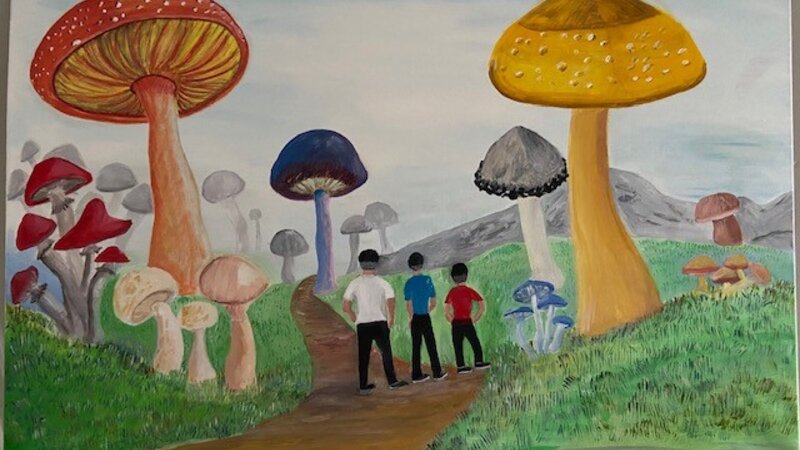 Mushrooms Forest 
