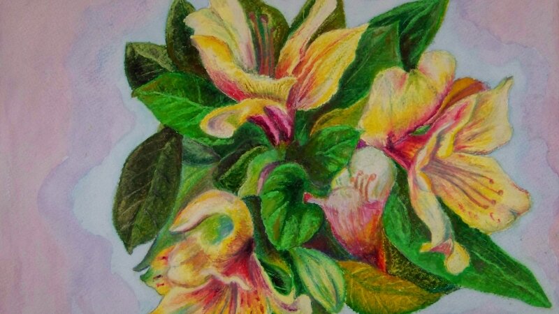 Flowers for my wife. study. 