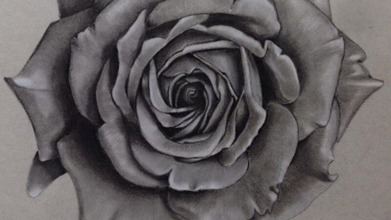 Silver Rose