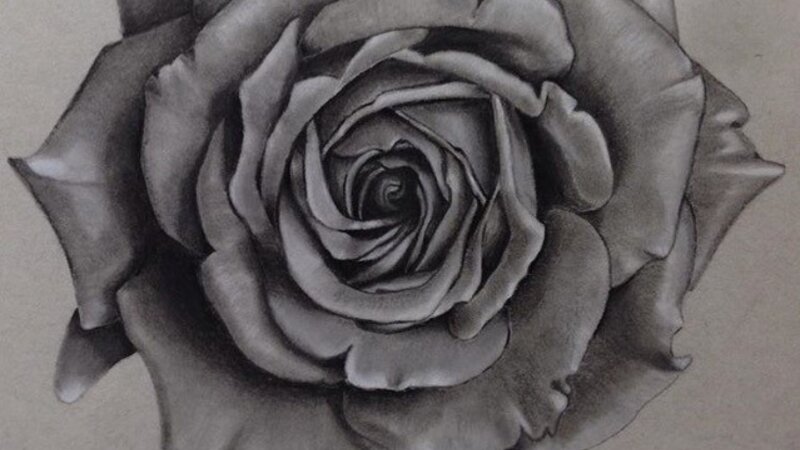 Silver Rose