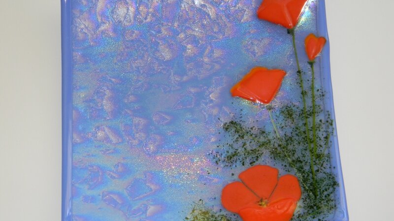 Sonoma Poppies