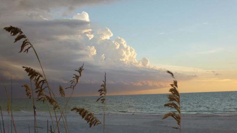 Moon Set at Sunrise Indian Rocks Beach