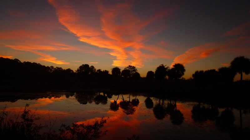 Fire in the Sky John Taylor Park
