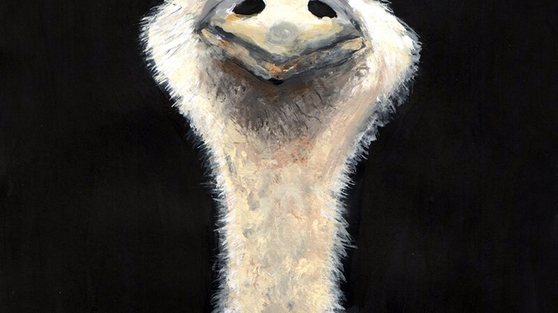 An ostrich