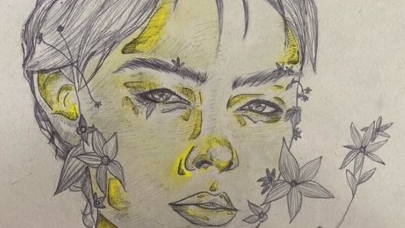 ballpoint pen and highlighter were the mediums used