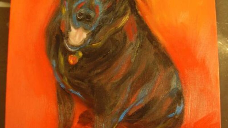 Devil Dog