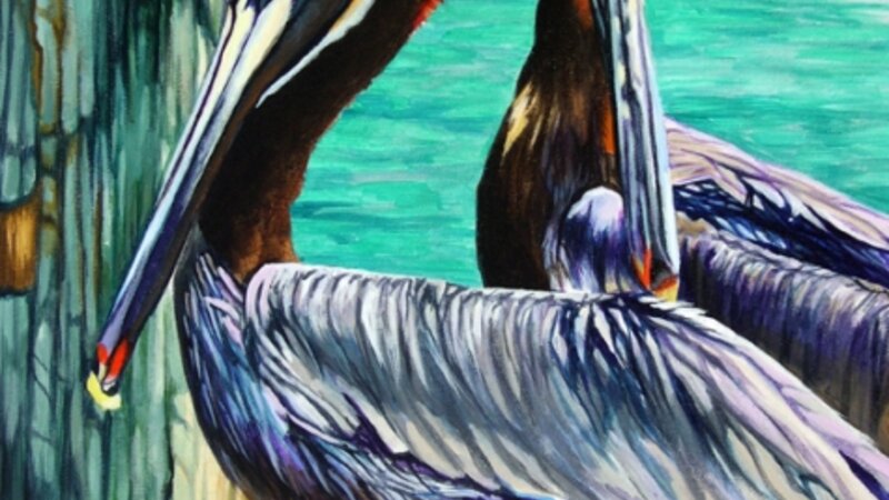 Pelicans