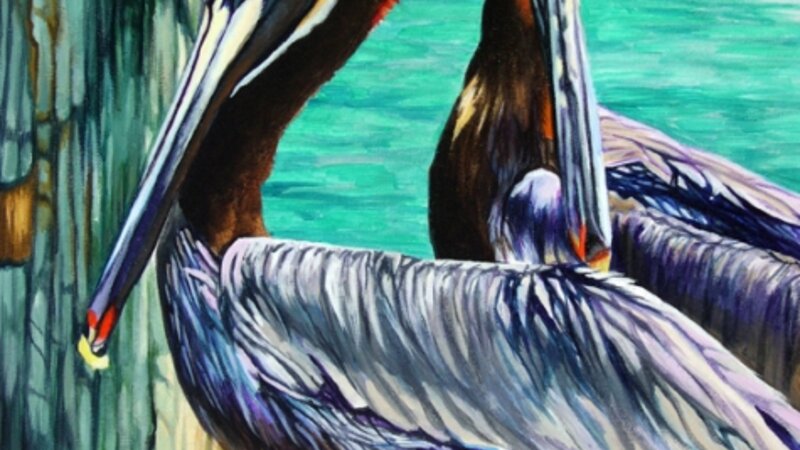 Pelicans