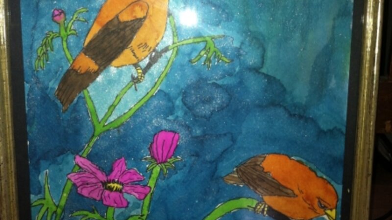birds