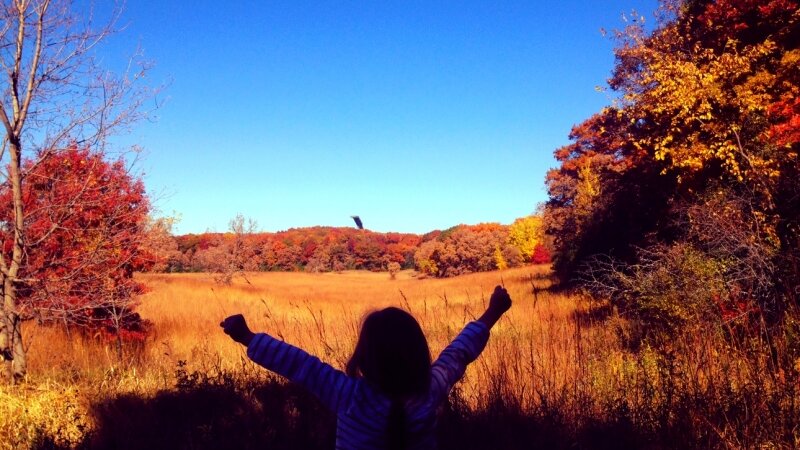 Minnesota's Autumn