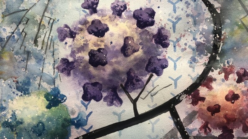 Phylogenetic trees of influenza viruses