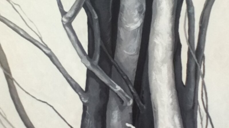 Untitled (nature)