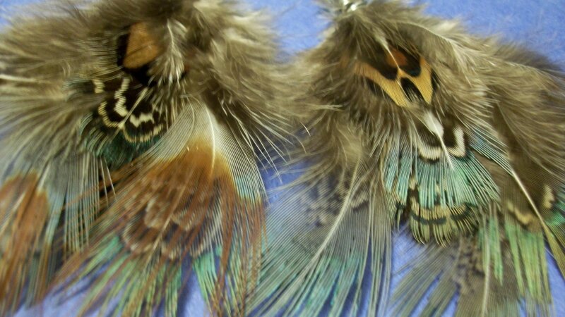 Colorful feather earrings