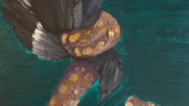 a snake capturing a bird