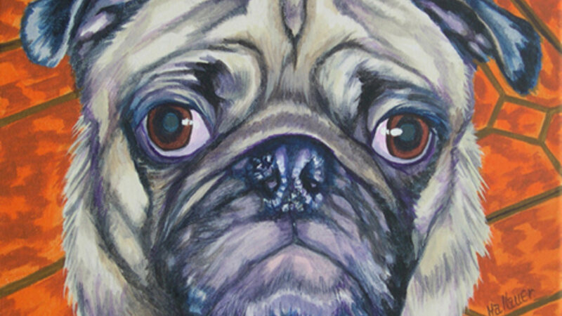 Pug Eyes