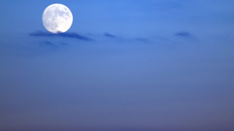 Summer Moon