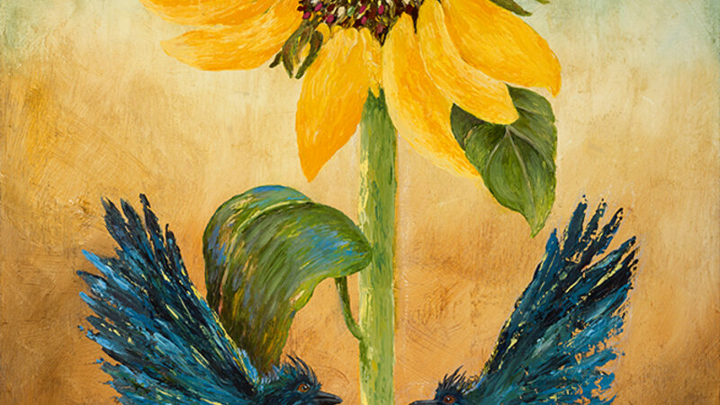 sunflower, birds