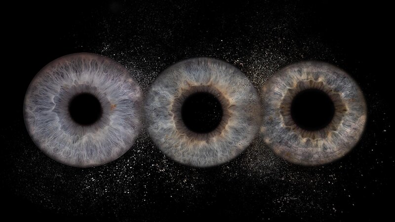 Iris-Macro