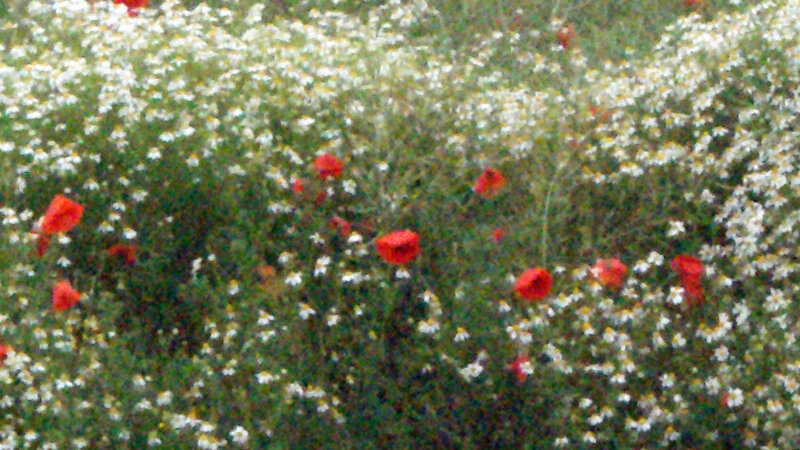The Somme, France 2