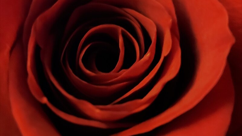 Red Red Wine
