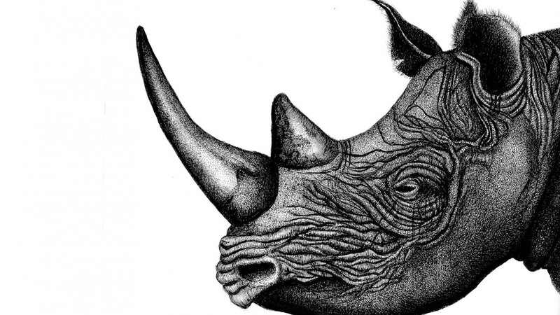 Pen and Ink illustration