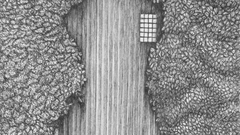 Pen and ink