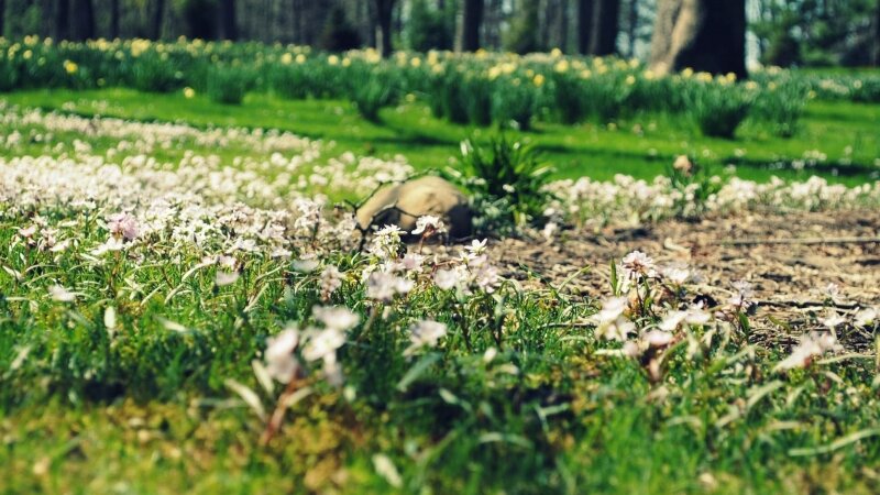 A Different Perspective