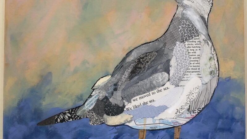 Solitary Seagull  